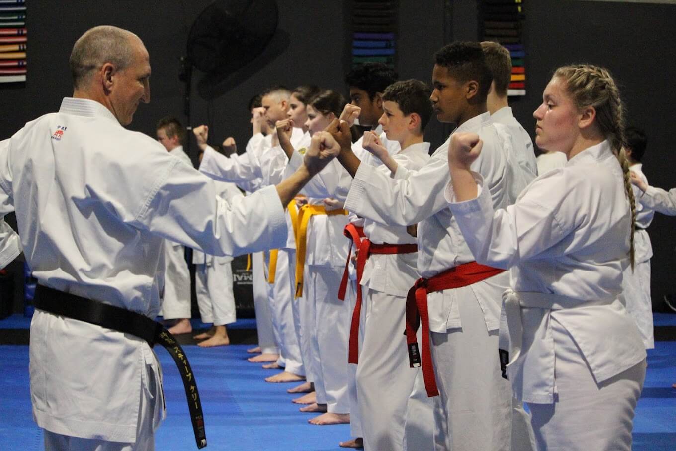 Adult Karate karate program