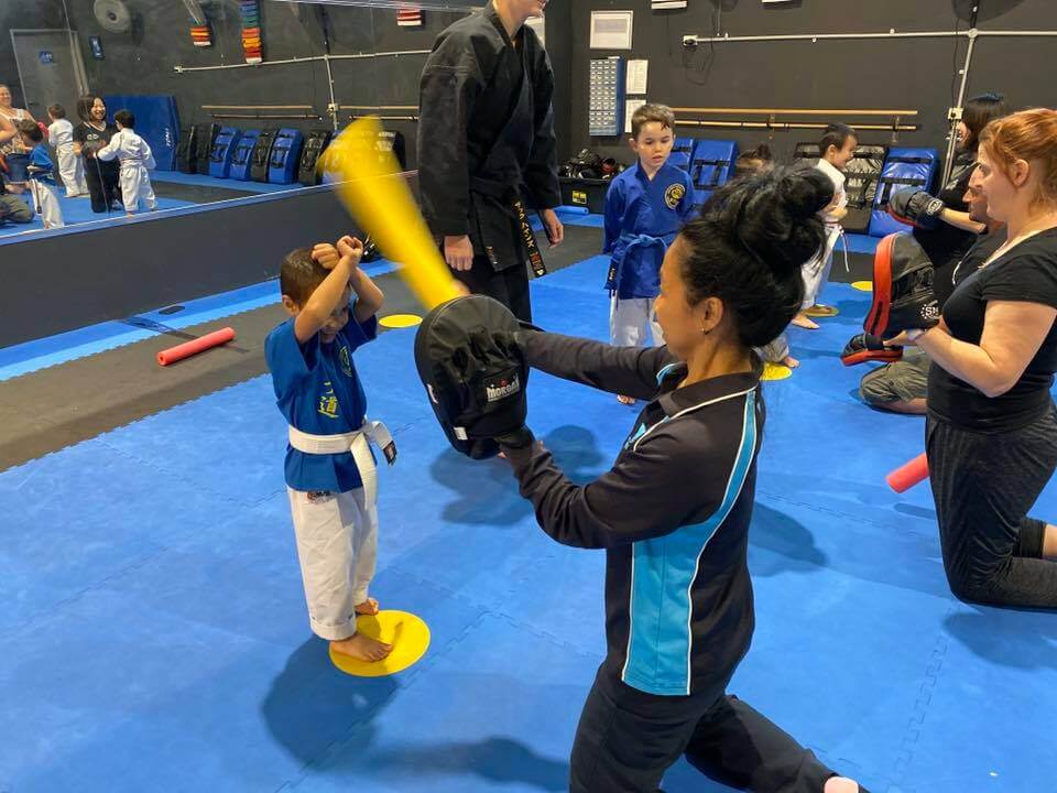 Cubs karate program
