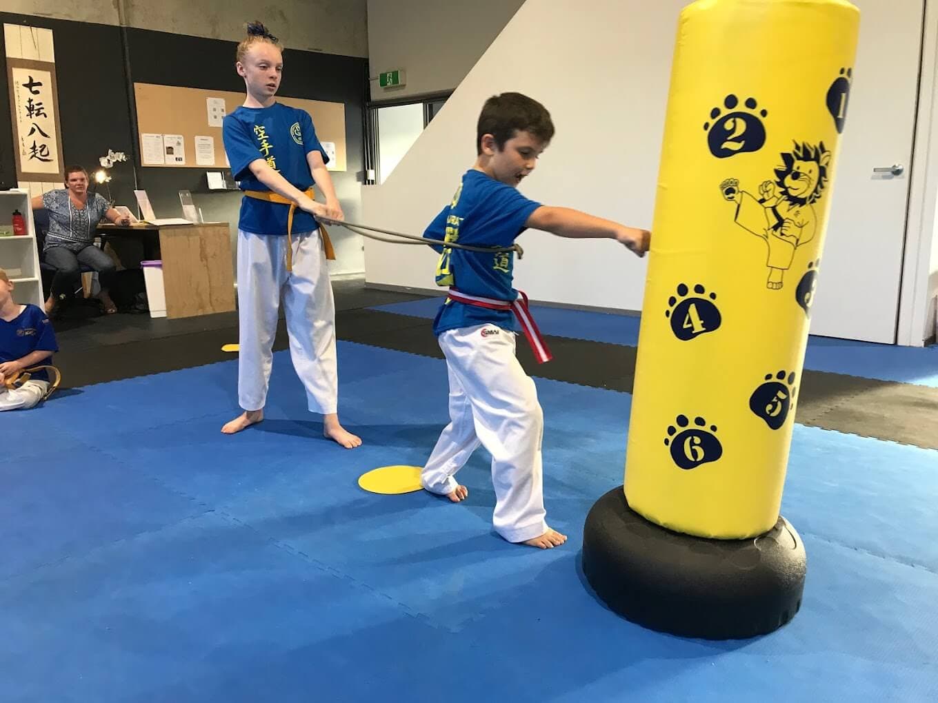 Little Lions karate program