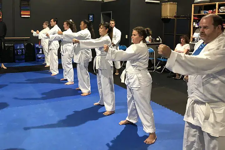 Adult Karate karate class